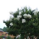 포승농장 이미지