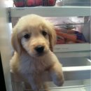 허숙희네 이미지