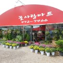 상대동-5 이미지