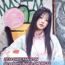 츄 카카오 검색결과