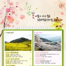 청산도느림보마을 이미지