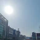 보람태양광발전소 이미지