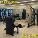 라이트바디 이미지