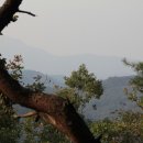 쌍령산 봉수대 이미지