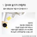 감사의 삶 5기 ＜9일차＞ (9/9) 이미지