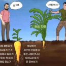 캠스학원 | 주독야남 일상 full ver. 무료 공개!