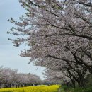 가시리농촌체험휴양마을 이미지