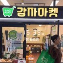 단골마켓 | 감자마켓 단골 인플루언서의 리얼 후기! 오프라인 공구마켓의 찐 매력은?