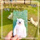 경기도 안성시 삼죽면사무소 | 경기도 용인 안성 아이와 가볼만한곳 풍산개마을 농장 카페 풍사니랑