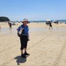 대천해수욕장 이미지