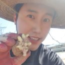 신성카메라 이미지