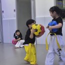 용인대 정무태권도장 이미지