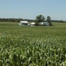 대박농장 이미지