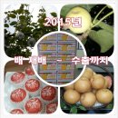 임실치즈골 은주네농장 이미지