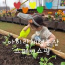 서현팜 2농장 | 서울 스페이스팜 36개월 아기 농장체험, 내돈내산 솔직 후기👒🌾