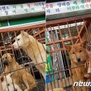 모란시장 이미지