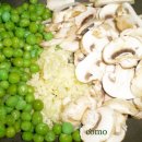 브라운 로 이미지