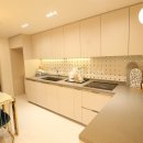 리젤펠리스 이미지