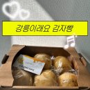 강릉이래요 감자빵 후기
