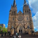 시드니 시티투어 꼭 가볼만한 곳 세인트 메리 대성당, 하이드파크, 주립도서관/검션커피 후기