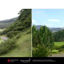 온그린 스크린골프 이미지