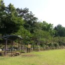 소라초등학교 이미지