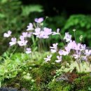 자기 자신을 돌아 보면서.....Looking back at herself... 이미지