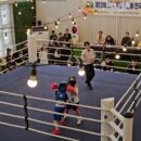 BLSO 복싱 아카데미 이미지