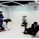 안산양지초등학교 | 안산고잔동주짓수 원코리아주짓수 안산고잔 경험후기. 주짓수가 재미있는 운동인지 몰랐던 나의 운동...