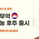 세계시민네트워크주 이미지