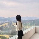 헤븐 | 더헤븐 리조트 대부도 내돈내산 후기