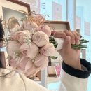 블루밍 플라워 앤 가든 이미지