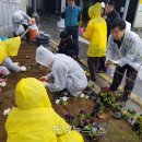 평택항국제여객터미널 이미지