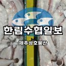 연승물산