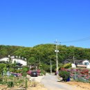 동천2리 마을회관 | 아산시 - 신창학성, 김육비, 신창척화비