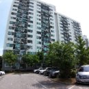 강서구-47 이미지