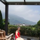 양밍산