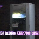 딜라이트클럽 이미지