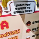 타코네코