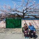 사진 보건진료소 이미지