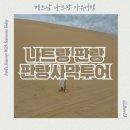 모래언덕 | 베트남 나트랑 자유여행 나트랑 판랑사막 판랑사막투어 지프투어 복장 모래썰매 남꾸옹 모래언덕 후기