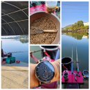 진우낚시터 | 진우낚시터, 쪽박 (2024. 10. 12.~13.)