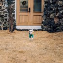 마롱스테이 이미지