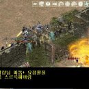 수성중 Daum카페