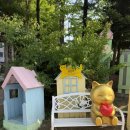 알파행신 | 260517 대구 삼성전 직관