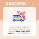 광교리본한의원 티스토리