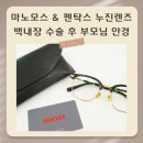 최선생안경 네이버블로그