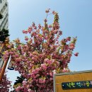 낙원역사공원1 이미지