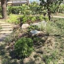 다산어린이공원 이미지