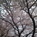 달맞이미용실